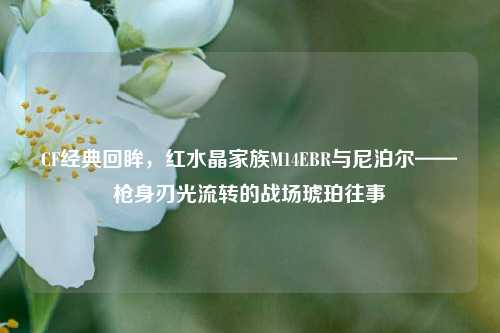 CF经典回眸，红水晶家族M14EBR与尼泊尔——枪身刃光流转的战场琥珀往事