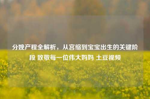 分娩产程全解析,从宫缩到宝宝出生的关键阶段 致敬每一位伟大妈妈 土豆视频