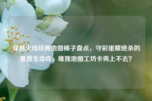 穿越火线经典地图梯子盘点,守彩蛋藏绝杀的垂直生命线,唯独地图工坊卡壳上不去?