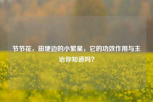 节节花,田埂边的小繁星,它的功效作用与主治你知道吗?