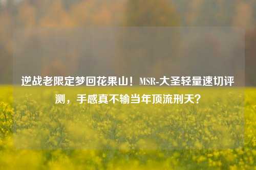 逆战老限定梦回花果山!MSR-大圣轻量速切评测,手感真不输当年顶流刑天?