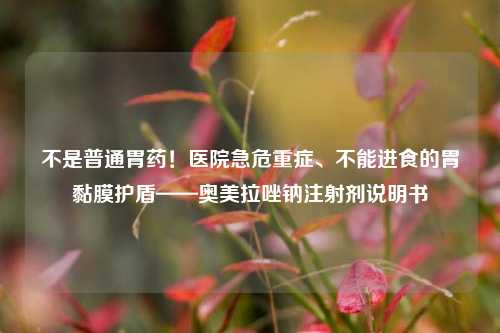 不是普通胃药!医院急危重症、不能进食的胃黏膜护盾——奥美拉唑钠注射剂说明书