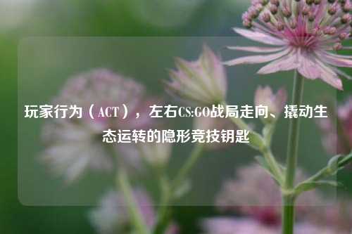 玩家行为(ACT),左右CS:GO战局走向、撬动生态运转的隐形竞技钥匙