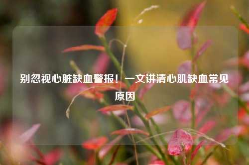 别忽视心脏缺血警报!一文讲清心肌缺血常见原因