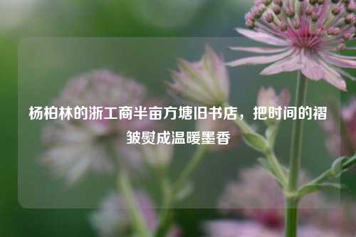 杨柏林的浙工商半亩方塘旧书店,把时间的褶皱熨成温暖墨香