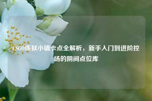 CSGO炼狱小镇卡点全解析，新手入门到进阶控场的阴间点位库