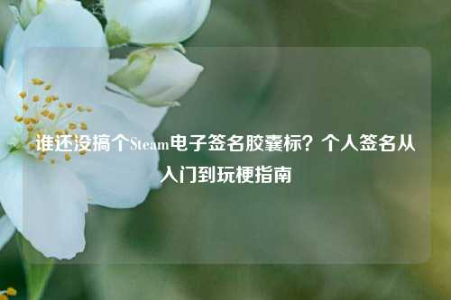 谁还没搞个Steam电子签名胶囊标?个人签名从入门到玩梗指南