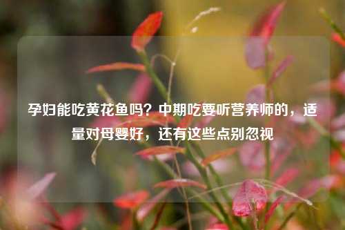 孕妇能吃黄花鱼吗?中期吃要听营养师的,适量对母婴好,还有这些点别忽视