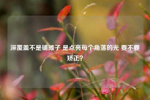 深覆盖不是铺摊子 是点亮每个角落的光 要不要矫正?