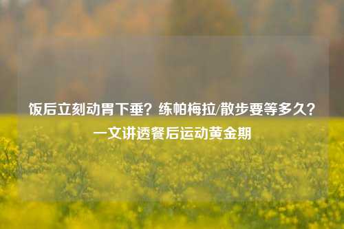 饭后立刻动胃下垂?练帕梅拉/散步要等多久?一文讲透餐后运动黄金期