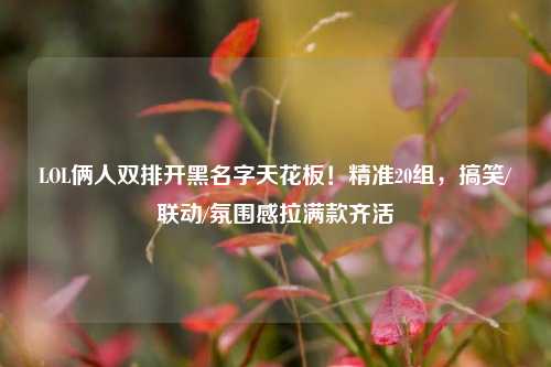 LOL俩人双排开黑名字天花板！精准20组，搞笑/联动/氛围感拉满款齐活