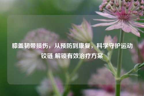 膝盖韧带损伤,从预防到康复,科学守护运动铰链 解锁有效治疗方案