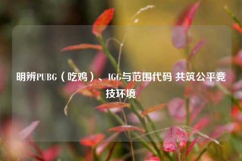明辨PUBG(吃鸡)、IGG与范围代码 共筑公平竞技环境