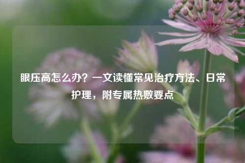 眼压高怎么办？一文读懂常见治疗方法、日常护理，附专属热敷要点