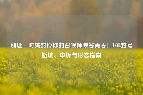 别让一时爽封掉你的召唤师峡谷青春！LOL封号避坑、申诉与形态指南