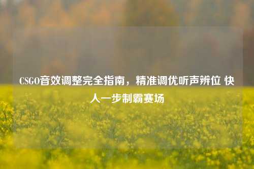 CSGO音效调整完全指南，精准调优听声辨位 快人一步制霸赛场