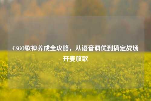 CSGO歌神养成全攻略,从语音调优到搞定战场开麦放歌