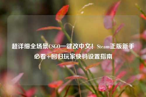 超详细全场景CSGO一键改中文！Steam正版新手必看+回归玩家快码设置指南