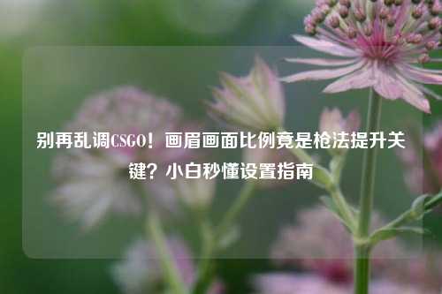 别再乱调CSGO！画眉画面比例竟是枪法提升关键？小白秒懂设置指南
