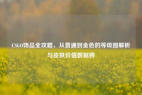 CSGO饰品全攻略，从普通到金色的等级图解析与皮肤价值数据榜