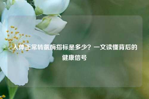 人体正常转氨酶指标是多少？一文读懂背后的健康信号