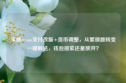 实测Steam支付改版+货币调整,从繁琐跳转变一键触达,钱包捂紧还是放开?
