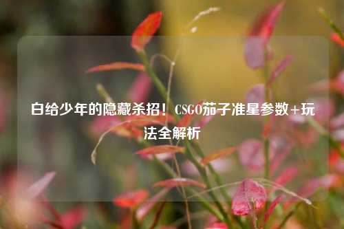 白给少年的隐藏杀招！CSGO茄子准星参数+玩法全解析