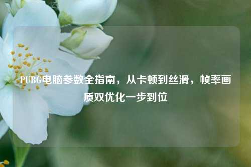 PUBG电脑参数全指南，从卡顿到丝滑，帧率画质双优化一步到位