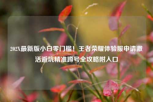 202X最新版小白零门槛!王者荣耀体验服申请激活避坑精准蹲号全攻略附入口