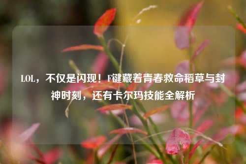 LOL,不仅是闪现!F键藏着青春救命稻草与封神时刻,还有卡尔玛技能全解析