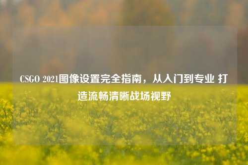 CSGO 2021图像设置完全指南，从入门到专业 打造流畅清晰战场视野