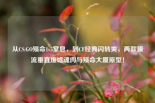 从CS:GO殒命1v5窒息,到CF经典闪转爽,两款顶流垂直废墟魂肉与殒命大厦原型!