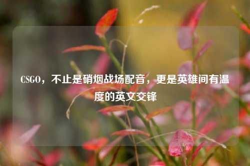CSGO，不止是硝烟战场配音，更是英雄间有温度的英文交锋