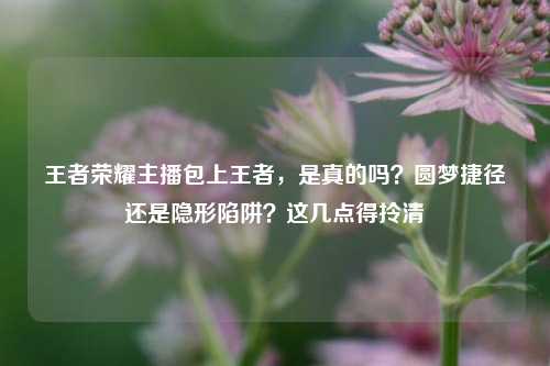 王者荣耀主播包上王者,是真的吗?圆梦捷径还是隐形陷阱?这几点得拎清