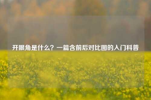 开眼角是什么?一篇含前后对比图的入门科普