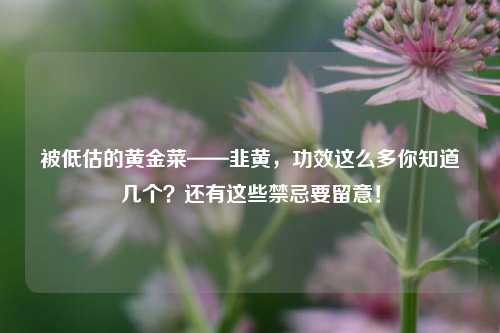 被低估的黄金菜——韭黄，功效这么多你知道几个？还有这些禁忌要留意！
