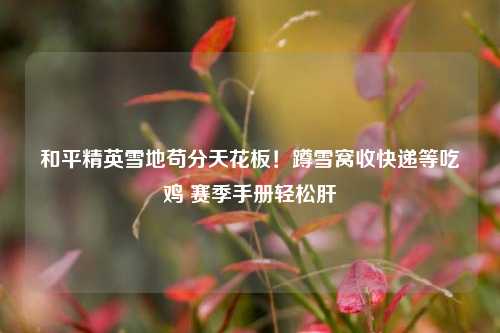 和平精英雪地苟分天花板！蹲雪窝收快递等吃鸡 赛季手册轻松肝