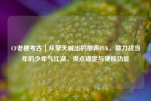 CF老梗考古|从擎天喊出的那声FUK,藏刀战当年的少年气江湖、爽点锚定与硬核功能