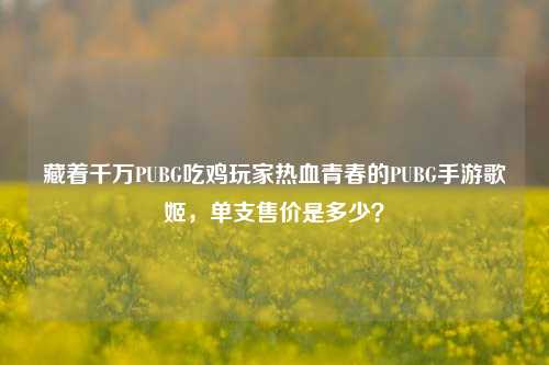 藏着千万PUBG吃鸡玩家热血青春的PUBG手游歌姬,单支售价是多少?