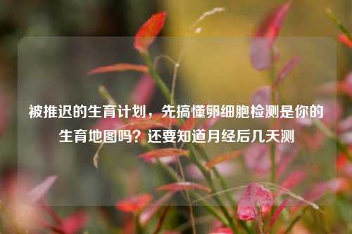 被推迟的生育计划,先搞懂卵细胞检测是你的生育地图吗?还要知道月经后几天测