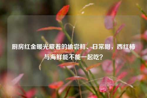 厨房红金暖光藏着的偷尝鲜、日常甜,西红柿与海鲜能不能一起吃?