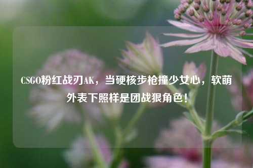 CSGO粉红战刃AK，当硬核步枪撞少女心，软萌外表下照样是团战狠角色！