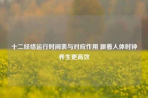 十二经络运行时间表与对应作用 跟着人体时钟养生更高效