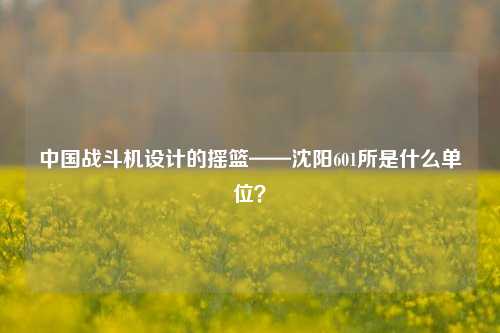 中国战斗机设计的摇篮——沈阳601所是什么单位?