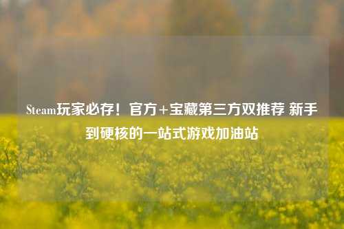 Steam玩家必存！官方+宝藏第三方双推荐 新手到硬核的一站式游戏加油站