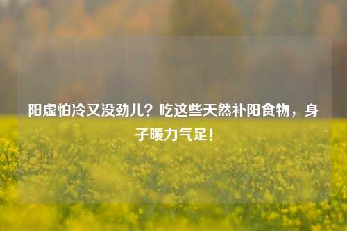 阳虚怕冷又没劲儿?吃这些天然补阳食物,身子暖力气足!