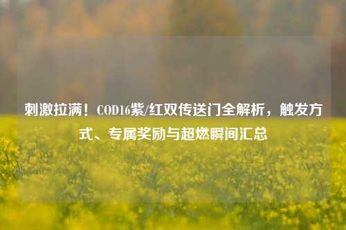刺激拉满！COD16紫/红双传送门全解析，触发方式、专属奖励与超燃瞬间汇总