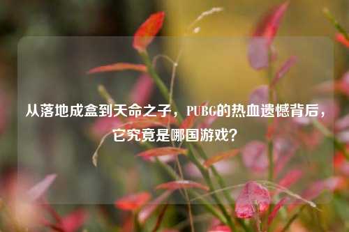 从落地成盒到天命之子，PUBG的热血遗憾背后，它究竟是哪国游戏？