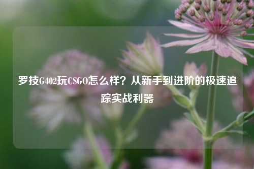 罗技G402玩CSGO怎么样？从新手到进阶的极速追踪实战利器