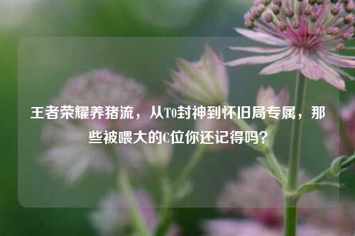 王者荣耀养猪流，从T0封神到怀旧局专属，那些被喂大的C位你还记得吗？